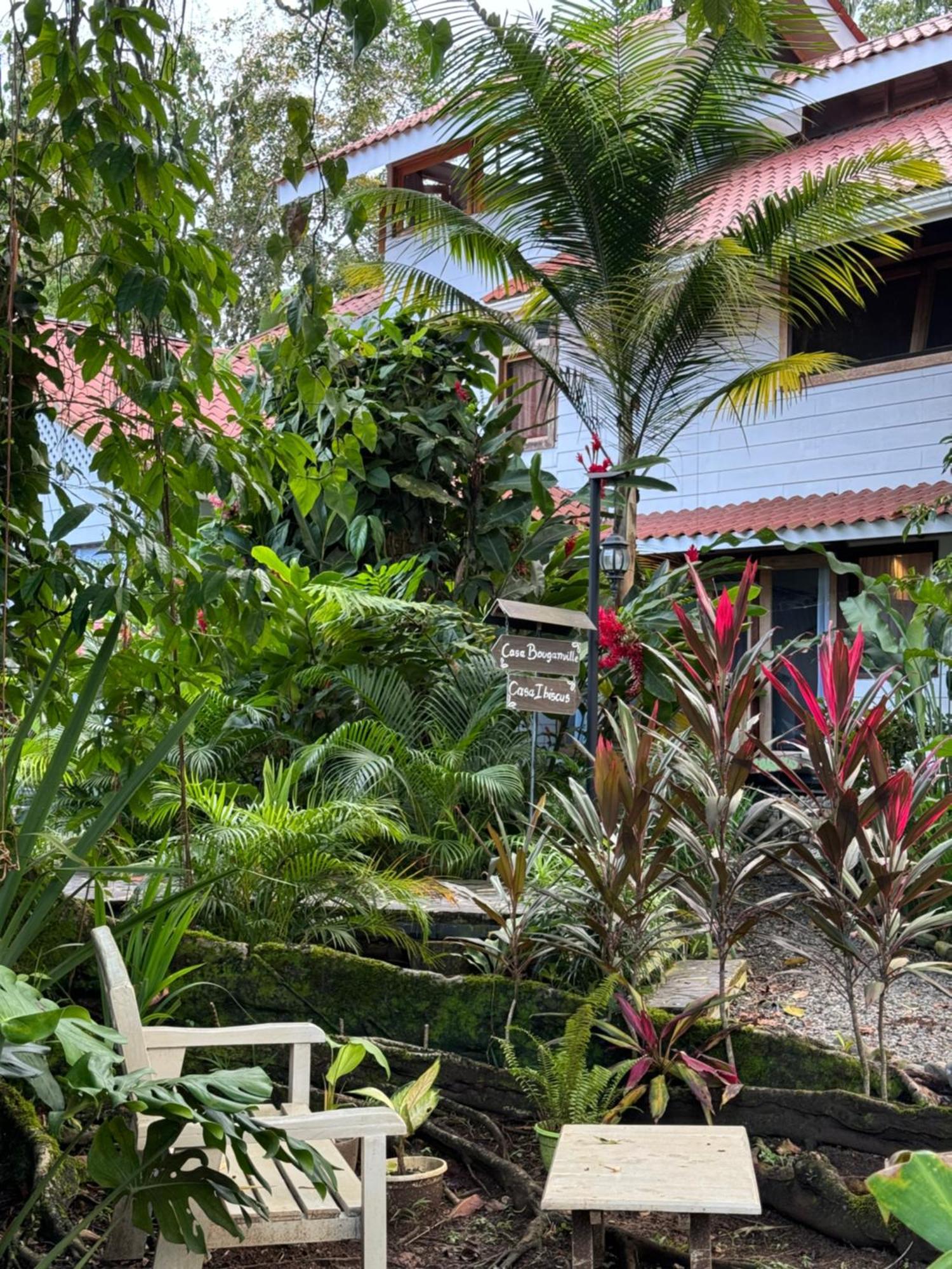 Chilamate Holiday House Puerto Viejo de Talamanca Exterior foto